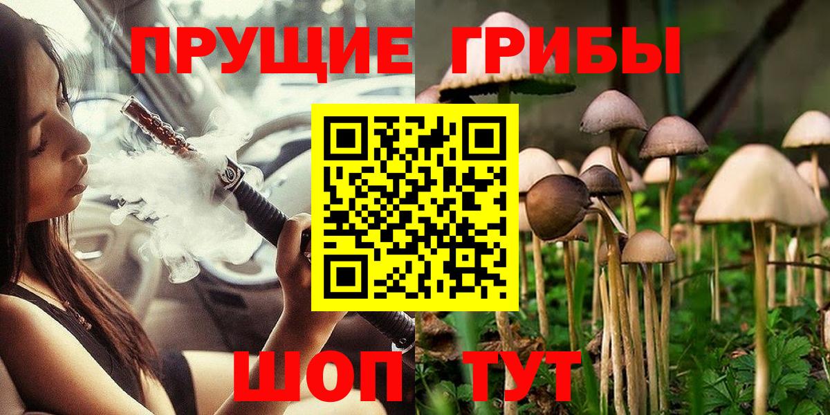 Донской  Галлюциногенные грибы прущие грибы  Вход с VPN 