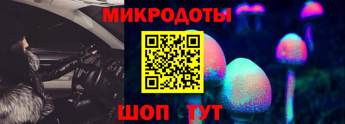 Псилоцибиновые грибы GOLDEN TEACHER Донской
